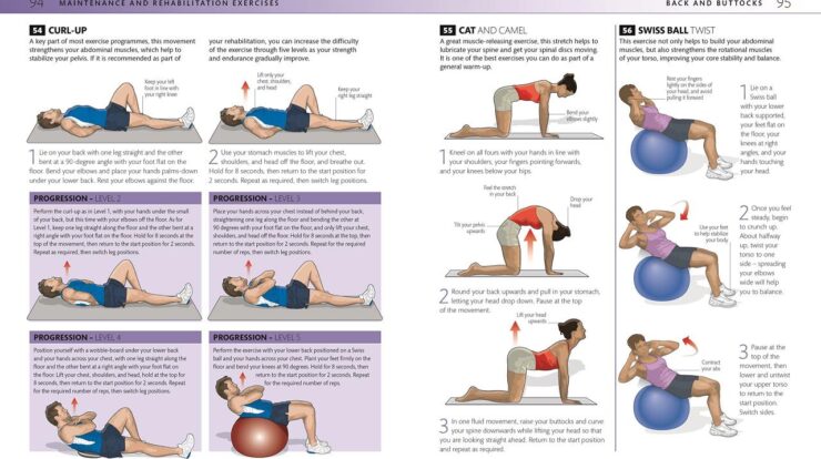 Lower back exercises at home